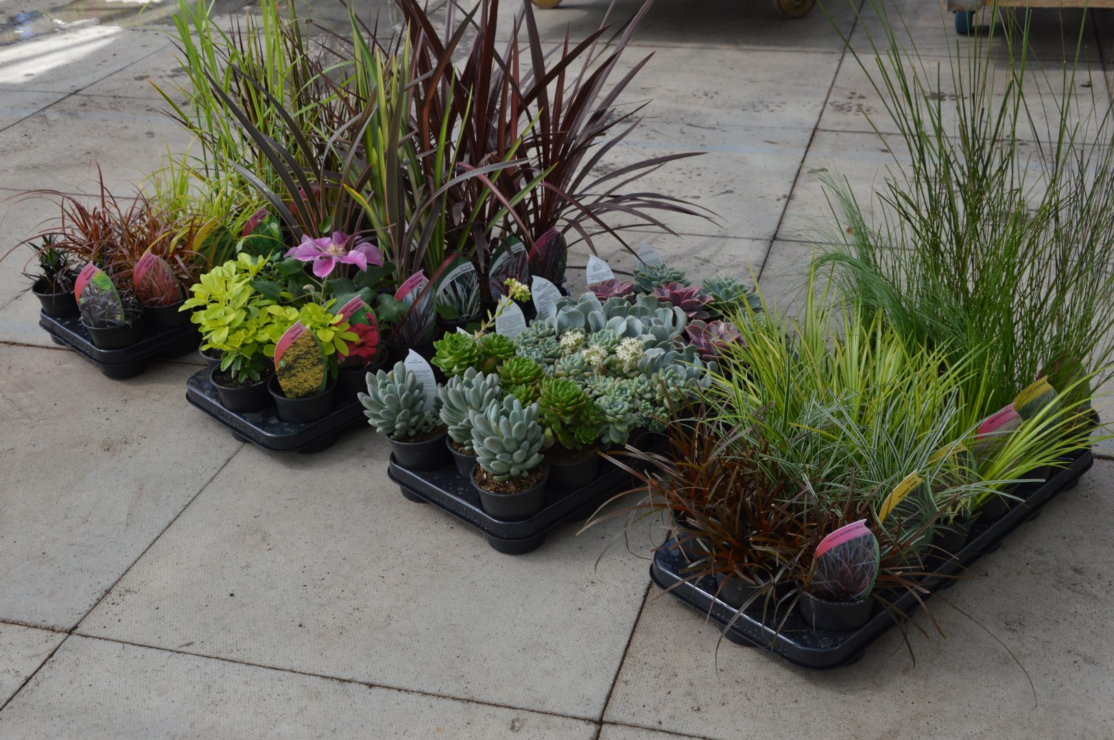 Chunky Pot Trays